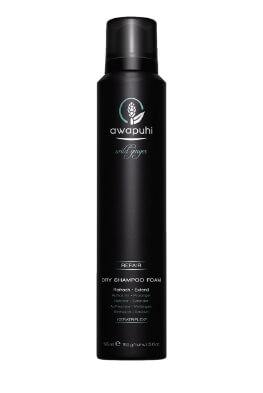Paul Mitchell Awapuhi Wild Ginger Dry Shampoo Foam 195 ml